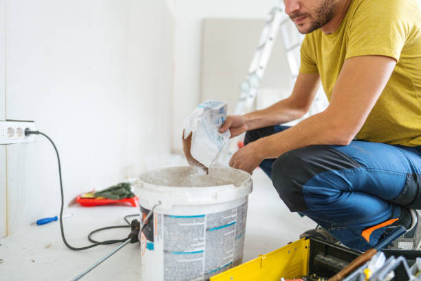 Best Basement Mold Removal  in USA